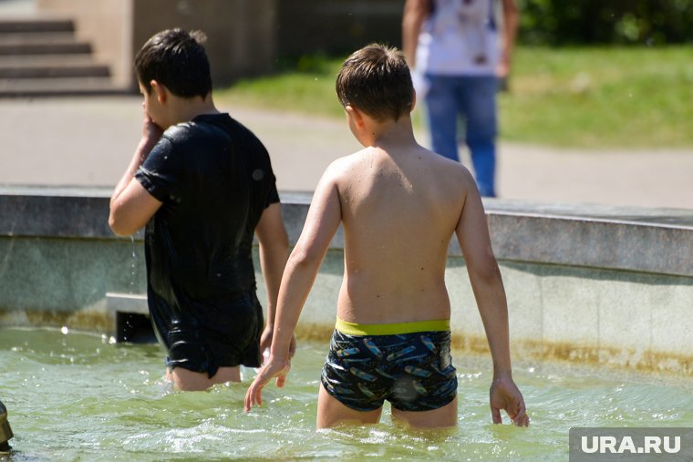 В воде фонтанов не стоит купаться из-за размножения микробов