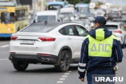 Водитель избил сотрудника ГАИ и пойдет под суд
