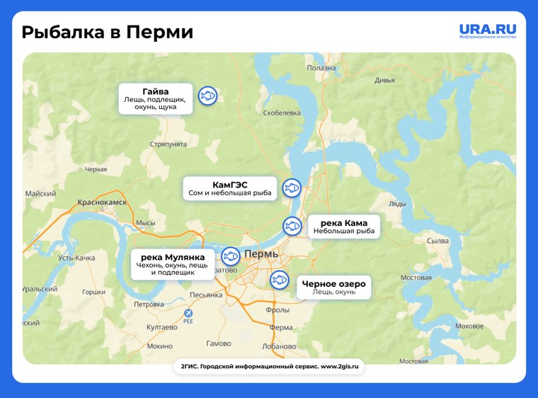 Места для рыбалки на карте Перми