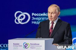 Путин поручил начать добычу трудноизвлекаемого газа в ЯНАО