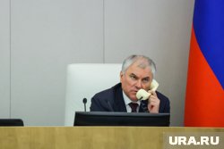 Володин напомнил о законах, вступающих в силу в июне