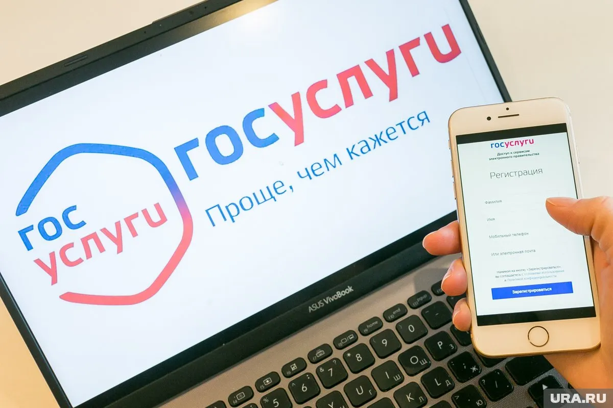 Новый сервис будет запущен на «Госуслугах» с 1 апреля