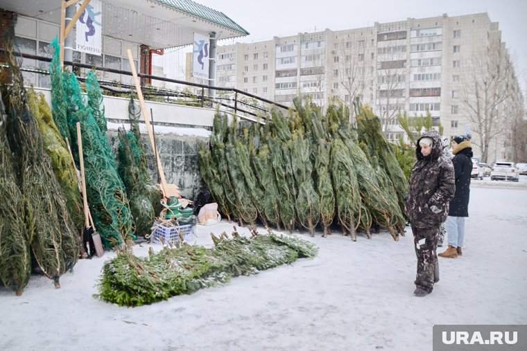 Елочные базары чаще всего стоят в проходимых местах — около рынков или торговых центров