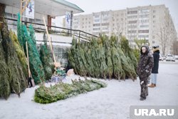 Елочные базары чаще всего стоят в проходимых местах — около рынков или торговых центров