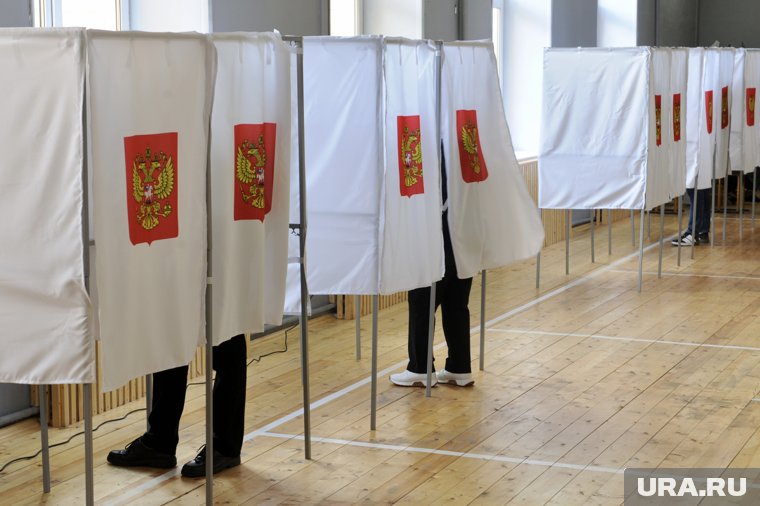 На выборах в облдуму в 2025 году смогут проголосовать 647 236 курганцев