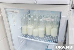 В Лабытнанги предприниматель продавал немаркированную молочную продукцию