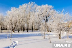 В Новом Уренгое температура упадет до -34 градусов