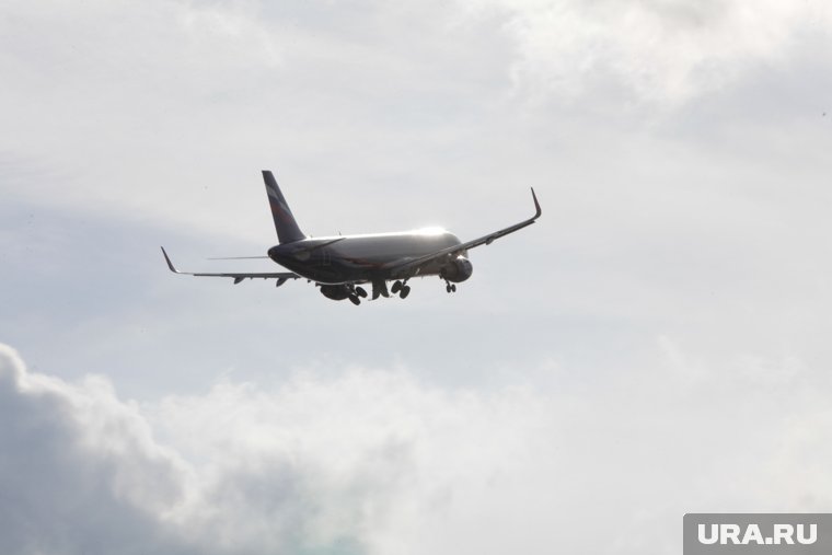 Перелеты будут совершать на лайнерах Airbus A330
