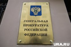 Депутаты обратятся в Генпрокуратуру из-за обращений обеспокоенных россиян