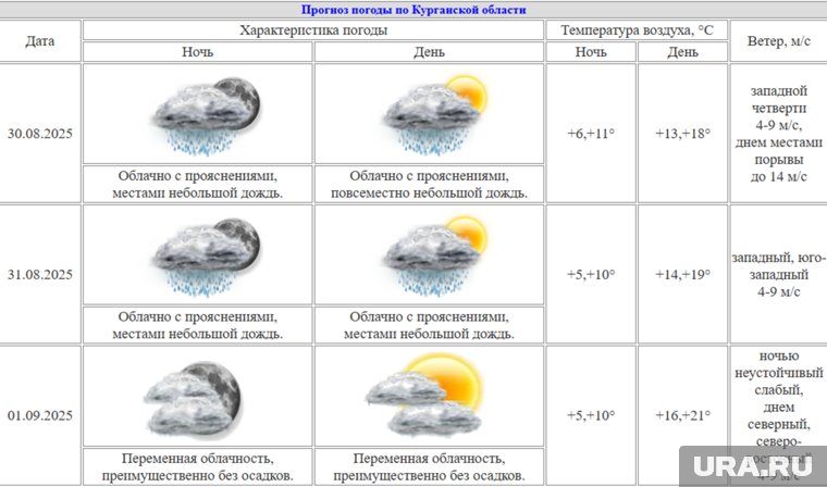 В Курганской области на 1 сентября прогнозируют до 21 градуса тепла