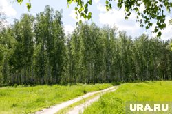 Тюменцам грозит штраф до 40 тысяч рублей за нарушение особого противопожарного режима