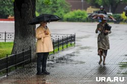 В Ленобласти возникли перебои со светом из-за гроз