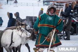 Северный олененок, подаренный Путину оленеводами из ЯНАО, быстро растет