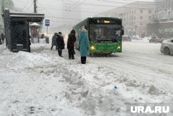 Челябинцы стояли на остановке по полтора часа