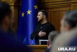 Зеленского на Западе стали называть жуликом и крысой