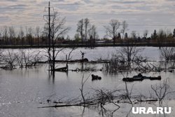 Малоснежная зима может привести к половодью