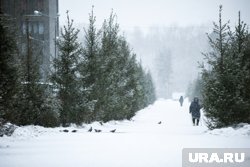 В регионе слой снега увеличится на 6-11 сантиметров