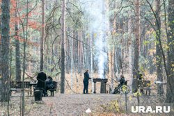 Беседки с мангалами в парке бесплатные