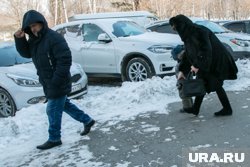 МЧС советует не парковать машины возле деревьев и рекламных щитов