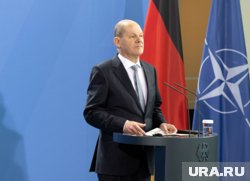 Германия не поддерживает удары по территории России с помощью западного оружия, заявил Олаф Шольц