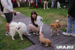 Восемь лучших ресторанов и кафе, куда пускают с животными 