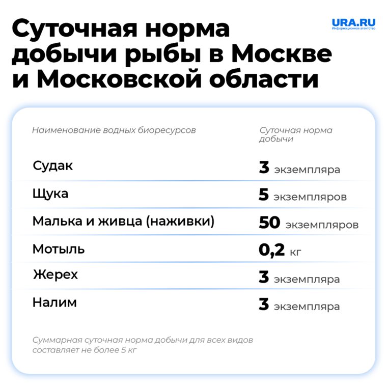 В Подмосковье можно поймать в сутки не более 5 кг рыбы