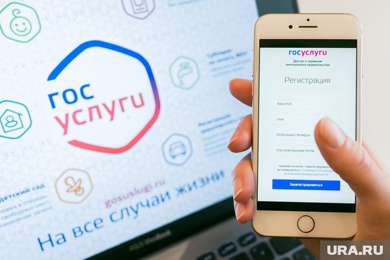 Оформить заявку на выплаты можно через «Госуслуги»