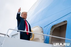 По словам Трампа, решение украинского конфликта вскоре может быть найдено