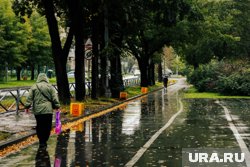В Челябинске и области вступает в права промозглая осень