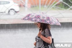 В Москве в ближайшие выходные ожидаются дожди