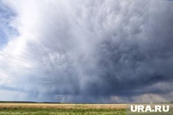 В Курганской области воздух прогревается до 24 градусов