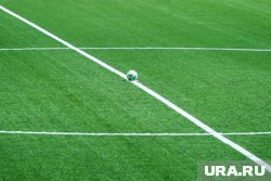 Сборную России по футболу привали сыграть против легионеров