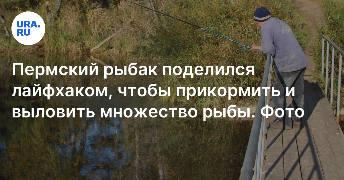 Летняя рыбалка: особенности, прикормка для рыбы