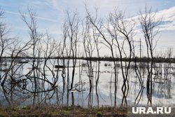 Почти за месяц вода в Тоболе снизилась на 4 метра (архивное фото)