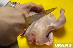 За неделю куриные тушки подорожали почти на 6%