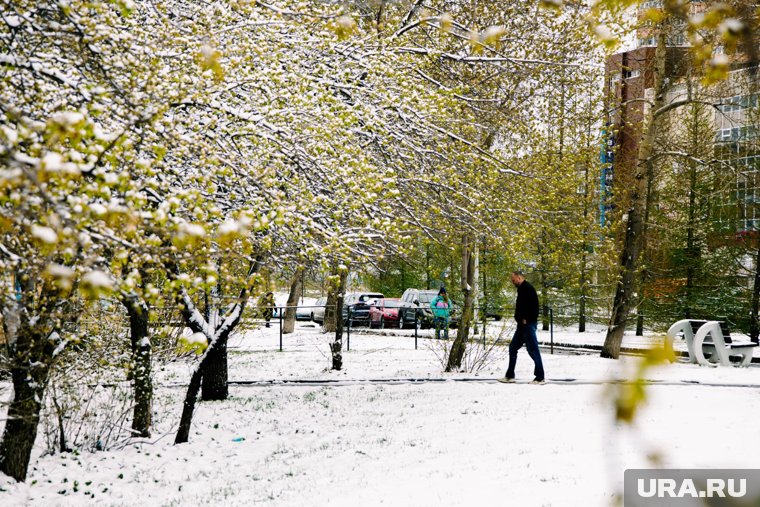 Новый Уренгой стал первым городом ЯНАО, где уже наблюдается снег