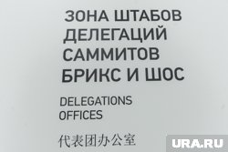 Ситуацию по мирному решению украинского конфликта будут обсуждать на саммите БРИКС