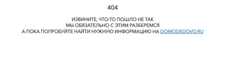 На сайте аэропорта подробную информацию о рейсе получить не удается