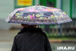 Дождливую погоду пообещали челябинцам 