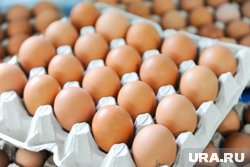 Впервые за полтора года яйца в российских магазинах заметно подешевели