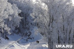 Местами в округе ожидается небольшой снег