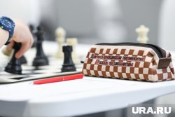Кумратова стала лучшей среди 89 шахматисток со всего мира