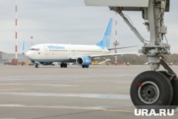 Самолет после столкновения не пострадал