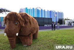 Иностранным компаниям интересен Трансарктический коридор