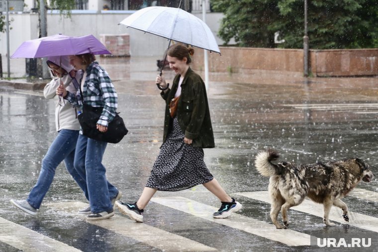 Синоптики прогнозируют непогоду в ХМАО