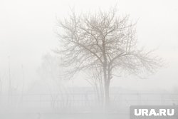В Шадринске будет 23 градуса