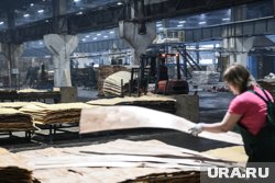 Компания специализируется на выпуске фанеры (архивное фото)