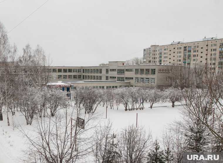 В курганских школах и детсадах утвердили директоров