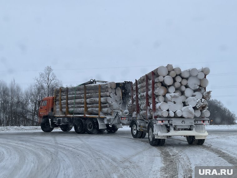 В Приморском крае произошло ДТП с груженым лесовозом, который занесло на трассе (архивное фото)