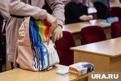 Неизвестные лица похитили коллекционные игрушки, которые были прикреплены к рюкзакам детей